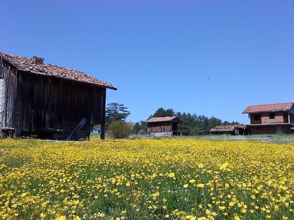 Villa Neva Hotel Kındıra Buitenkant foto